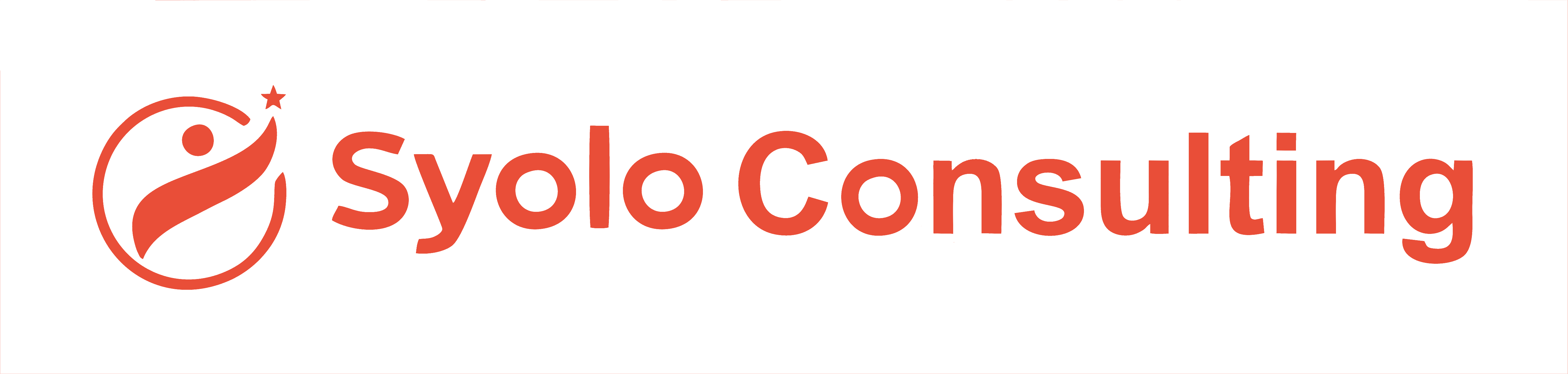 Syolo Counsulting : Best Consulting Services In India
